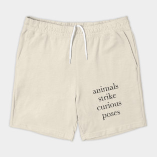 Animals strike curious poses Shorts