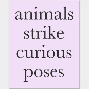 Animals strike curious poses Posters and Art