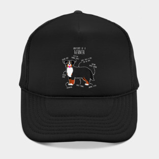 Bernese Mountain Dog Anatomy Hat