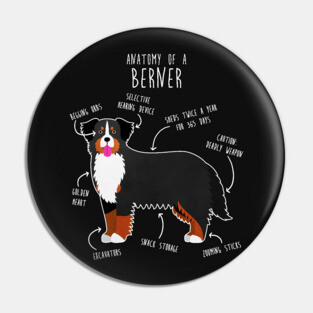 Bernese Mountain Dog Anatomy Pin