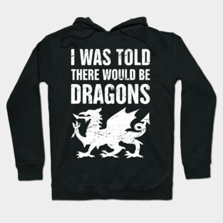 Dragons | Funny Renaissance Festival Costume Hoodie