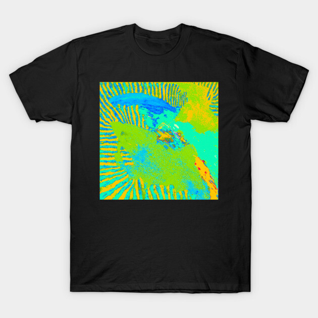 Abstract 42b T-Shirt by DonWillisJrArt