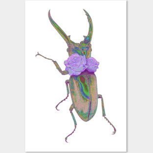 bug Posters and Art