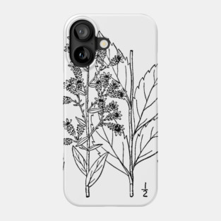 Botanical Scientific Illustration Black and White Phone Case