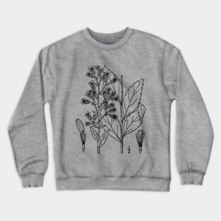 Botanical Scientific Illustration Black and White Crewneck Sweatshirt