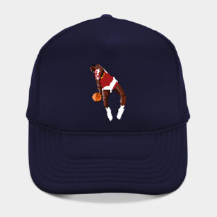 Dominique Wilkins Pixel Dunk Hat