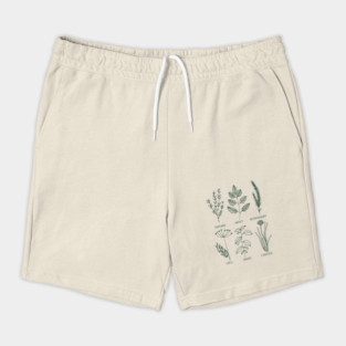Herb Garden Shorts