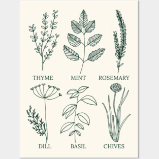 Herb Garden Posters and Art