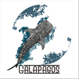Galapagos Whale Shark Posters and Art