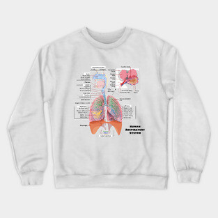 Human Respiratory System Diagram Crewneck Sweatshirt