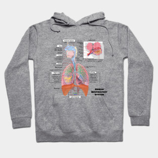 Human Respiratory System Diagram Hoodie