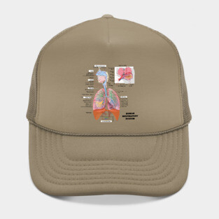 Human Respiratory System Diagram Hat