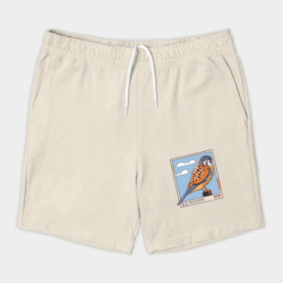 American Kestrel Shorts
