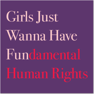 Girls Just Wanna Have Fundamental Human Rights Posters and Art