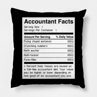 Accountant Facts | Funny Accounting Pillow