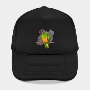 Senegal parrot watercolor Hat