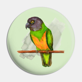 Senegal parrot watercolor Pin