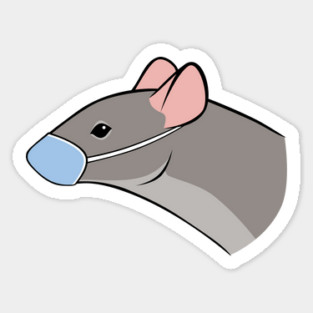 Don't be a Plague Rat Magnet