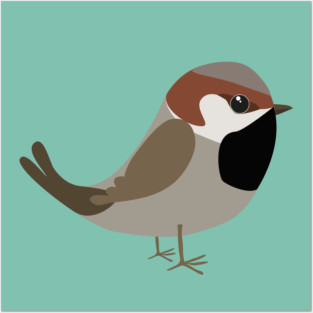 Cute sparrow Posters and Art