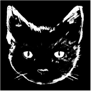 Black Cat Posters and Art