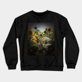 field Crewneck Sweatshirt