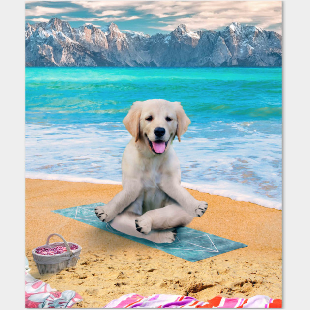 Golden Retriever Dog Dogs, Yoga Beach, Funny Cute Golden