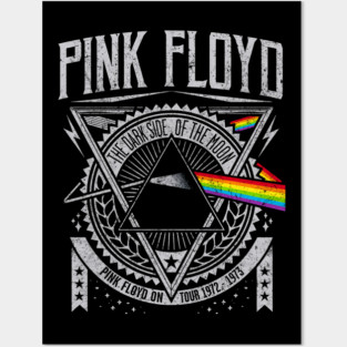 Pink Of The Moon Vintage Posters and Art