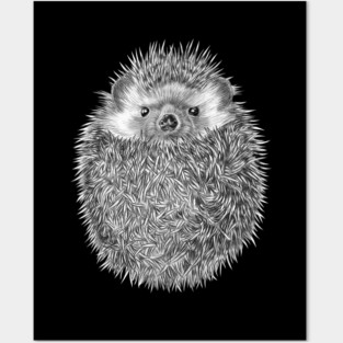 Hedgehog Posters and Art