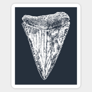 Great White Shark Tooth Sticker