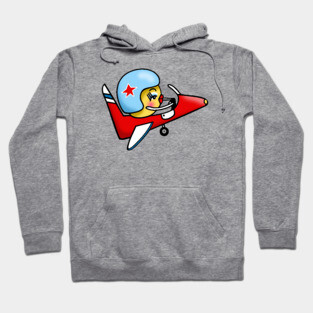 Airplane Hoodie