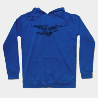 American Eagle! Hoodie