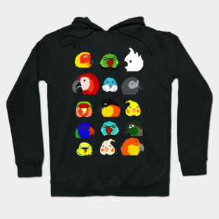 8bit parrots pattern Hoodie