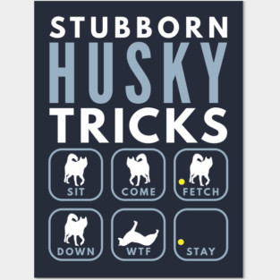 Stubborn Siberian Husky Tricks - Dog Training Posters and Art