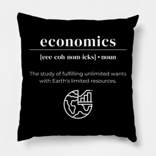 Economics Pillow