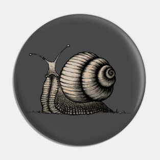 Snail Pin