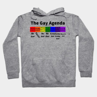 The Gay Agenda Hoodie