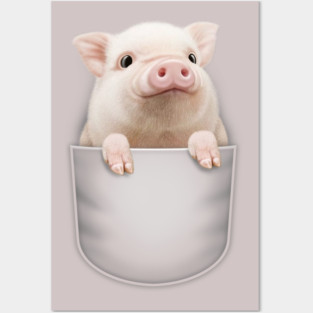 PIG POCKET Posters and Art