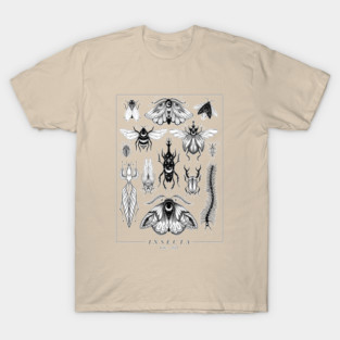 I N S E C T A T-Shirt