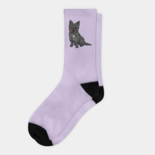 Black Cairn Terrier Dog Socks