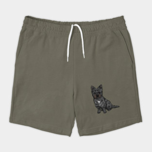 Black Cairn Terrier Dog Shorts