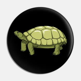 Tortoise Pin