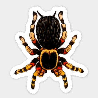 Tarantula Sticker