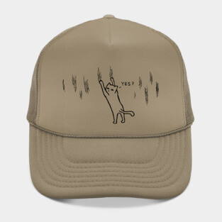 Do we have a problem, human? Hat