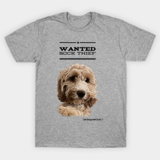 Cockapoo / Doodle Dog Sock Thief T-Shirt