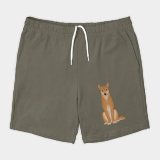Dingo Shorts