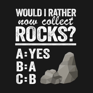 Would I Rather Now Collect Rocks Collector Mineral Geologist T-Shirt