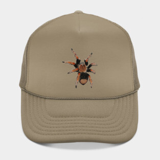 Tarantula Hat