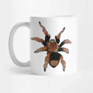 Tarantula Mug