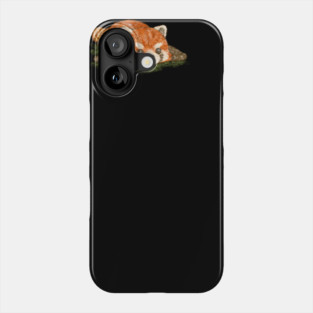 Red panda in prone position Phone Case