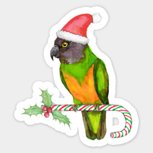 Senegal parrot Christmas style Sticker